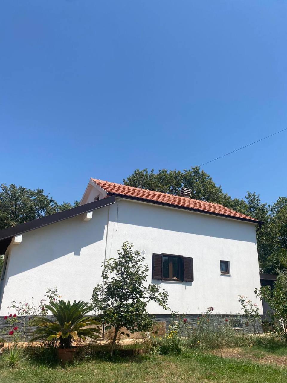 Villa Shu Krimovica Exterior foto